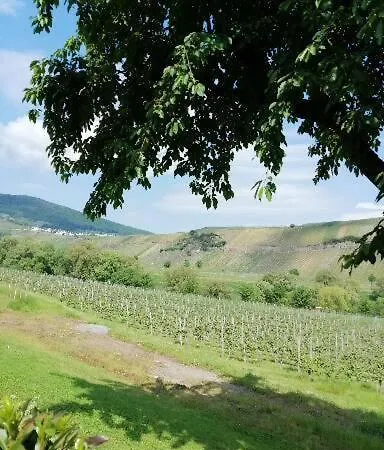 Bed & Breakfast Weingut Licht-stadtfeld *