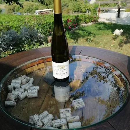 Bed & Breakfast Weingut Licht-stadtfeld