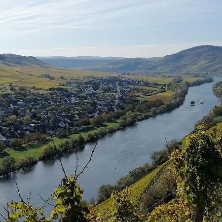 Weingut Licht-stadtfeld *