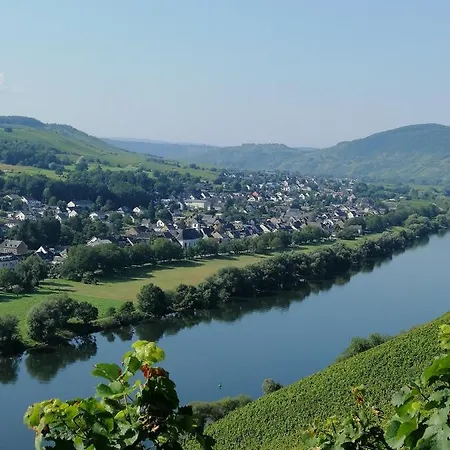 Bed & Breakfast Weingut Licht-stadtfeld *