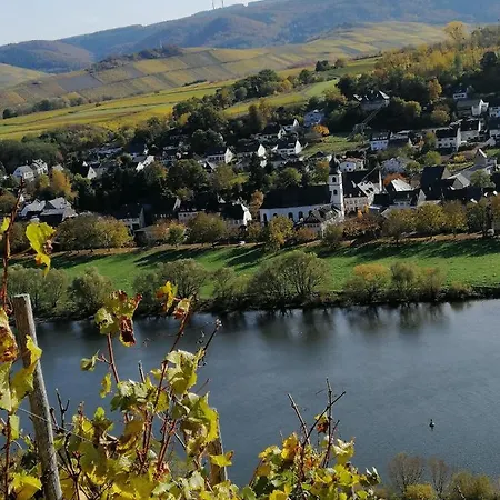 Bed & Breakfast Weingut Licht-stadtfeld