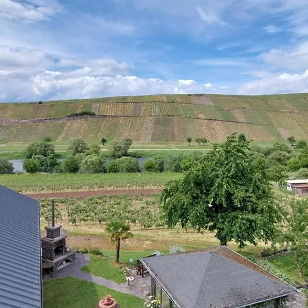 Bed & Breakfast Weingut Licht-stadtfeld