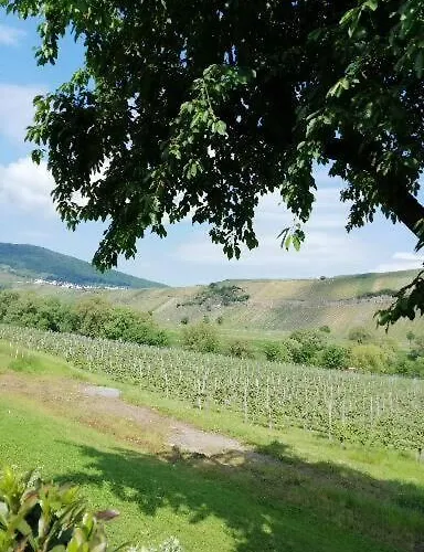 לינה וארוחת בוקר Weingut Licht-stadtfeld 3*