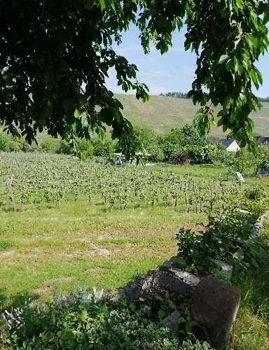 Weingut Licht-stadtfeld בראונברג