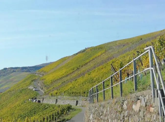 Weingut Licht-stadtfeld לינה וארוחת בוקר בראונברג