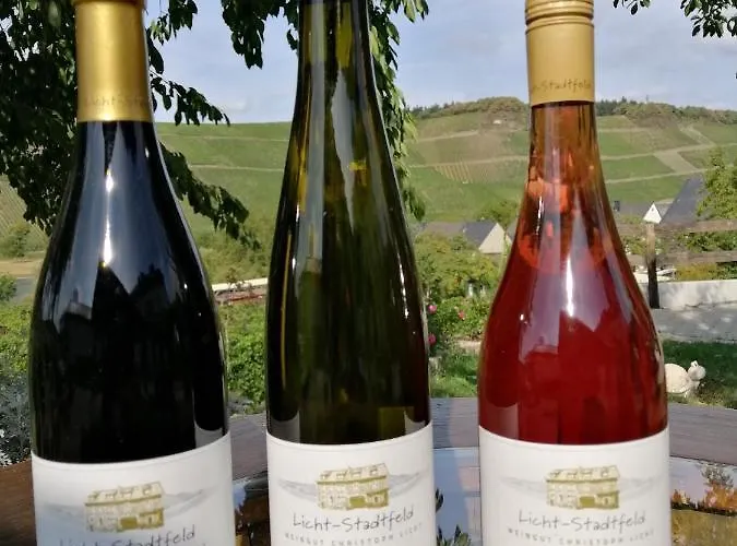 Bed & Breakfast Weingut Licht-stadtfeld 3*