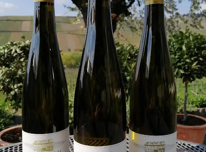 Weingut Licht-stadtfeld Bed & Breakfast Brauneberg