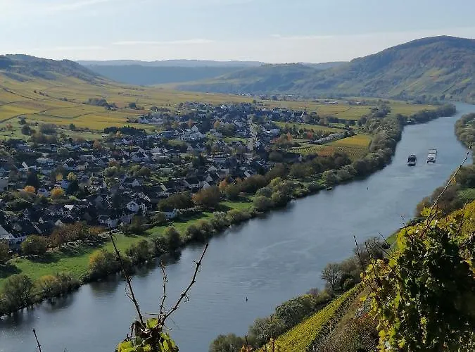 Weingut Licht-stadtfeld 3*