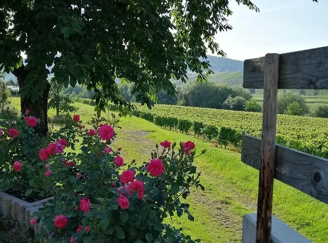 Weingut Licht-stadtfeld לינה וארוחת בוקר