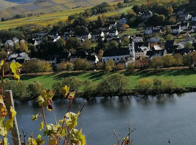 Bed & Breakfast Weingut Licht-stadtfeld