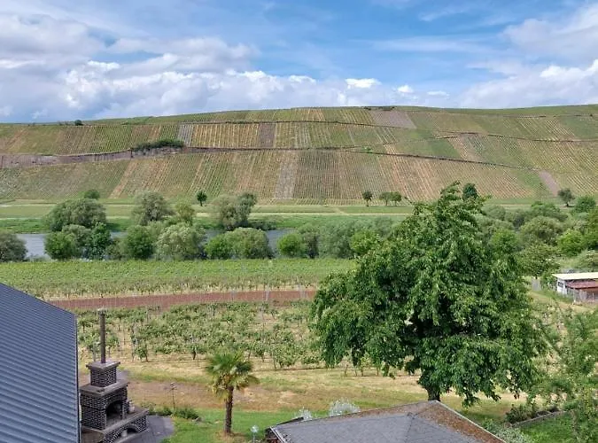 לינה וארוחת בוקר Weingut Licht-stadtfeld