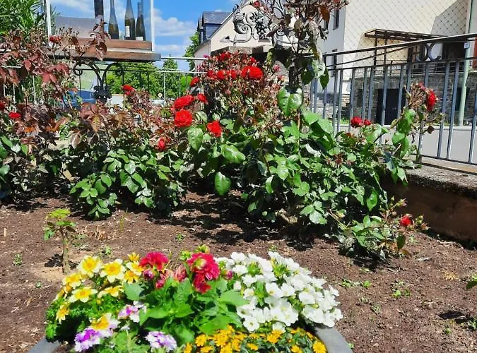Bed & Breakfast Weingut Licht-stadtfeld Brauneberg